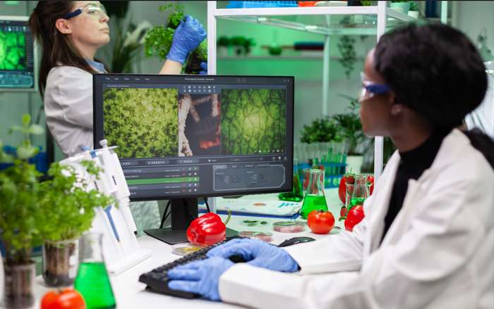 Grüne Gentechnik: Agrogentechnik – Anwendung bei Pflanzen ( Foto: Adobe Stock - DC Studio )
