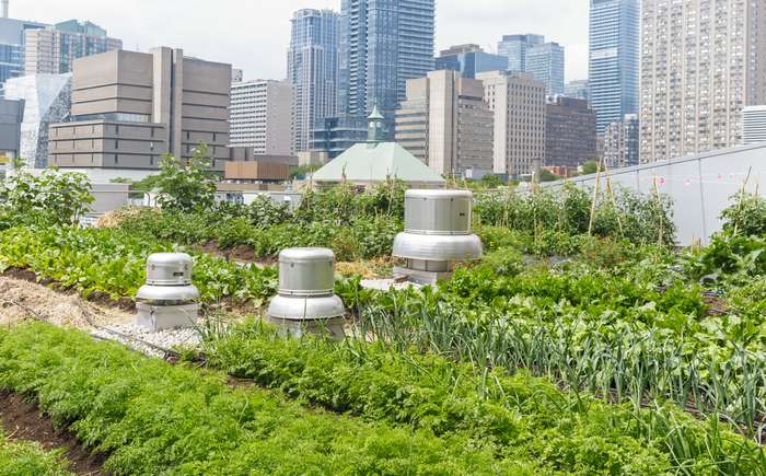 Urbane Landwirtschaft soll die bisher nicht genutzten Dachflächen in der Stadt nutzen. ( Foto: Adobe Stock - alisonhancock_)
