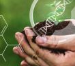 Minister Özdemir beruft 19 Experten in die Zentrale Kommission für biologische (Foto: AdobeStock - 514775229 blackday)