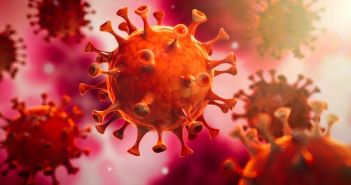 Die Evolution des Corona-Virus: Fragen und Antworten (Foto: AdobeStock - peterschreiber.media _318040586)
