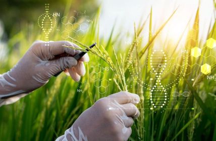 EU-Kommission beschließt Reform der Gentechnik-Gesetze für editierte (Foto: AdobeStock - ipopba 451360352)
