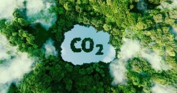 Trilog-Verhandlungen entscheidend für die Integrität der europäischen Klimapolitik EU-Parlament beschließt Zertifizierung von Kohlenstoffentnahmen im Kampf gegen den (Foto: AdobeStock - malp 457142881)