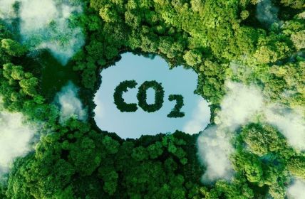 EU-Parlament beschließt Zertifizierung von Kohlenstoffentnahmen im Kampf gegen den (Foto: AdobeStock -  malp 457142881)